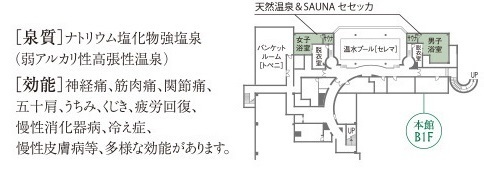 セセッカ
